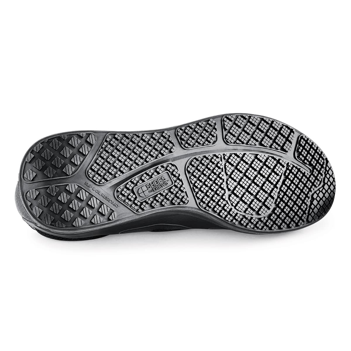 EVOLUTION II - Image 3